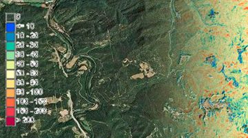 Cataluña dispone de los primeros mapas de alta resolución de sus bosques